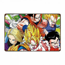 PLAQUE EN ÉTAIN DRAGONBALL 30 X 20 CM