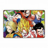 PLAQUE EN ÉTAIN DRAGONBALL 30 X 20 CM