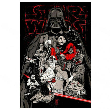 PLAQUE EN ÉTAIN STAR WARS 30 X 20 CM