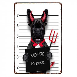 PLAQUE EN ÉTAIN  CHIEN INSOLITE 30 X 20 CM