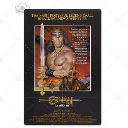 PLAQUE EN ÉTAIN FILM SCHWARZENEGGER CONAN LE BARBARE 30 X 20 CM