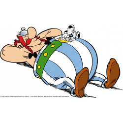 PLAQUE EN ÉTAIN ASTERIX ET OBELIX 30X20 CM