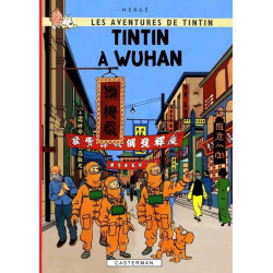 PLAQUE EN ÉTAIN TINTIN 30 X 20 CM