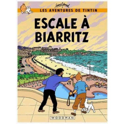 PLAQUE EN ÉTAIN TINTIN 30 X 20 CM