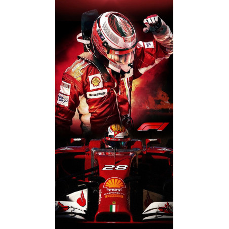 PLAQUE EN ÉTAIN FORMULE 1 30 X 20 CM
