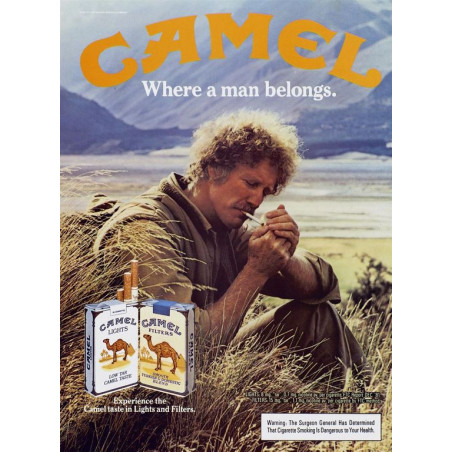 PLAQUE EN ÉTAIN CAMEL  30 X 20 CM