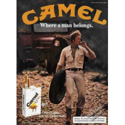 PLAQUE EN ÉTAIN CAMEL  30 X 20 CM