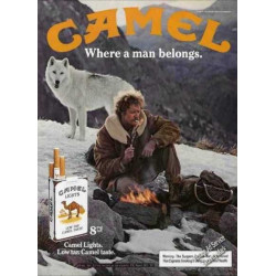 PLAQUE EN ÉTAIN CAMEL  30 X 20 CM