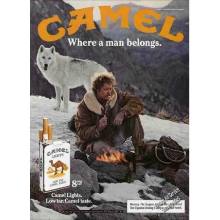 PLAQUE EN ÉTAIN CAMEL  30 X 20 CM