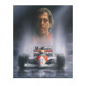 PLAQUE EN ÉTAIN AYRTON SENNA 30 X 20 CM