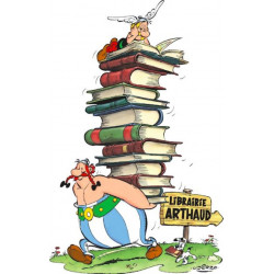PLAQUE EN ÉTAIN ASTERIX ET OBELIX 30 X 20 CM