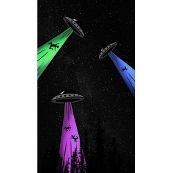PLAQUE EN METAL ÉTAIN  ufo ovni extraterrestre 30 X 20 CM