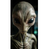 PLAQUE EN METAL ÉTAIN  extraterrestre alien  30 X 20 CM