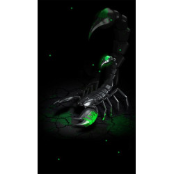 PLAQUE EN METAL ÉTAIN  scorpion  30 X 20 CM