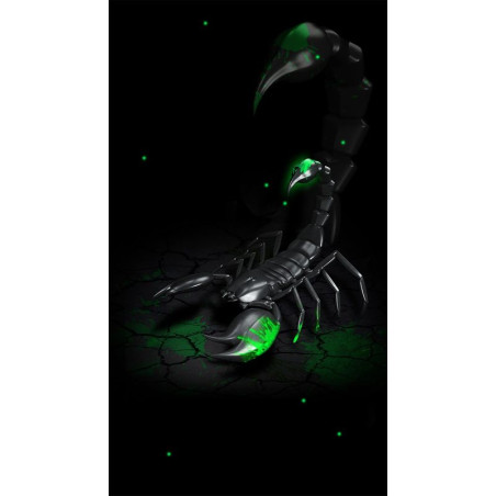 PLAQUE EN METAL ÉTAIN  scorpion  30 X 20 CM