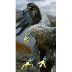 PLAQUE EN METAL ÉTAIN  oiseaux  aigle  30 X 20 CM